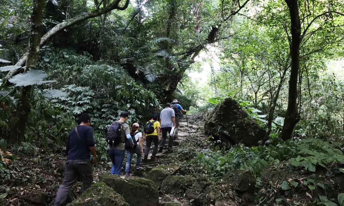 苗栗樟之細路一日遊，走自然步道、讀人文故事