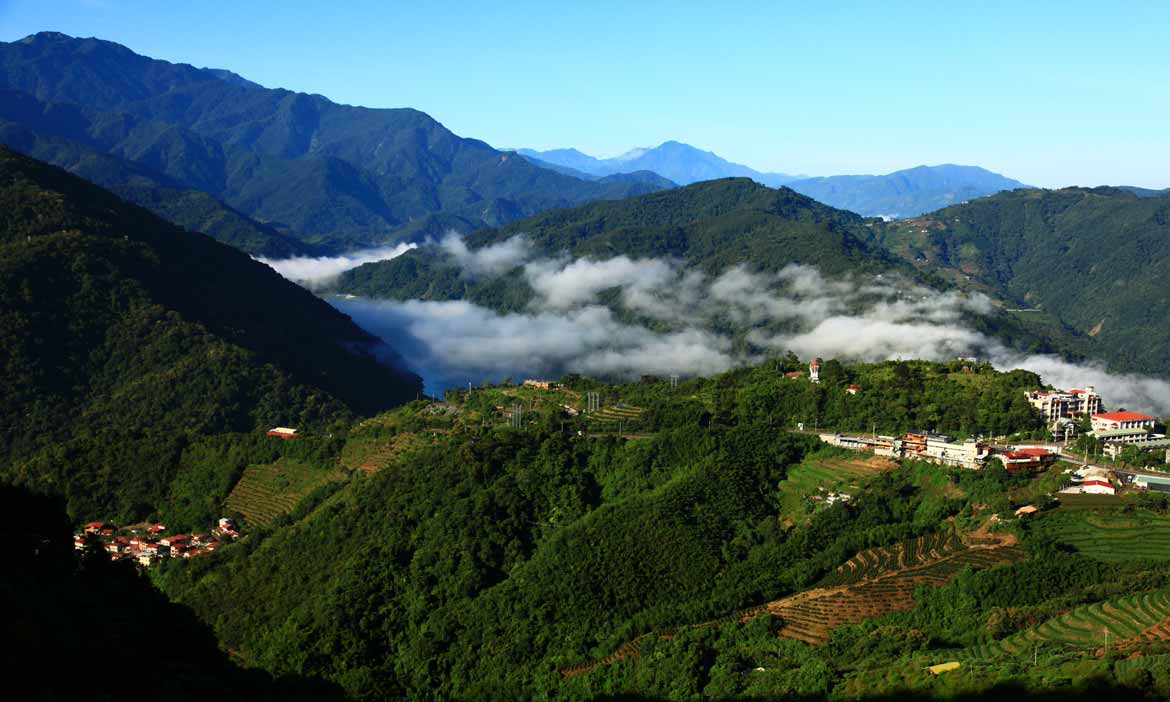台14甲線仙境公路，一路到清境、合歡山與武嶺踏雲踩霧
