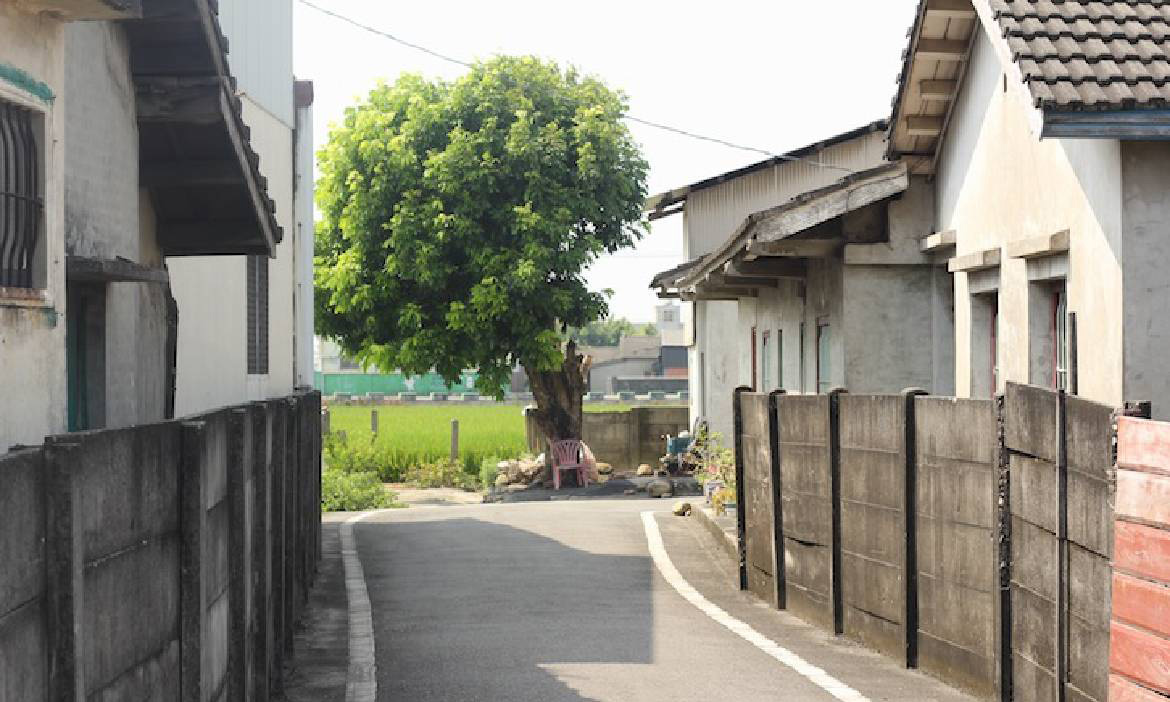 與四十多年沒回鄉的母親一起，回彰化找祖厝 聽大佛的故事