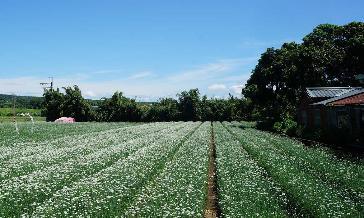 美麗秘境的有機夢，桃園大溪中寮島上的香草野園