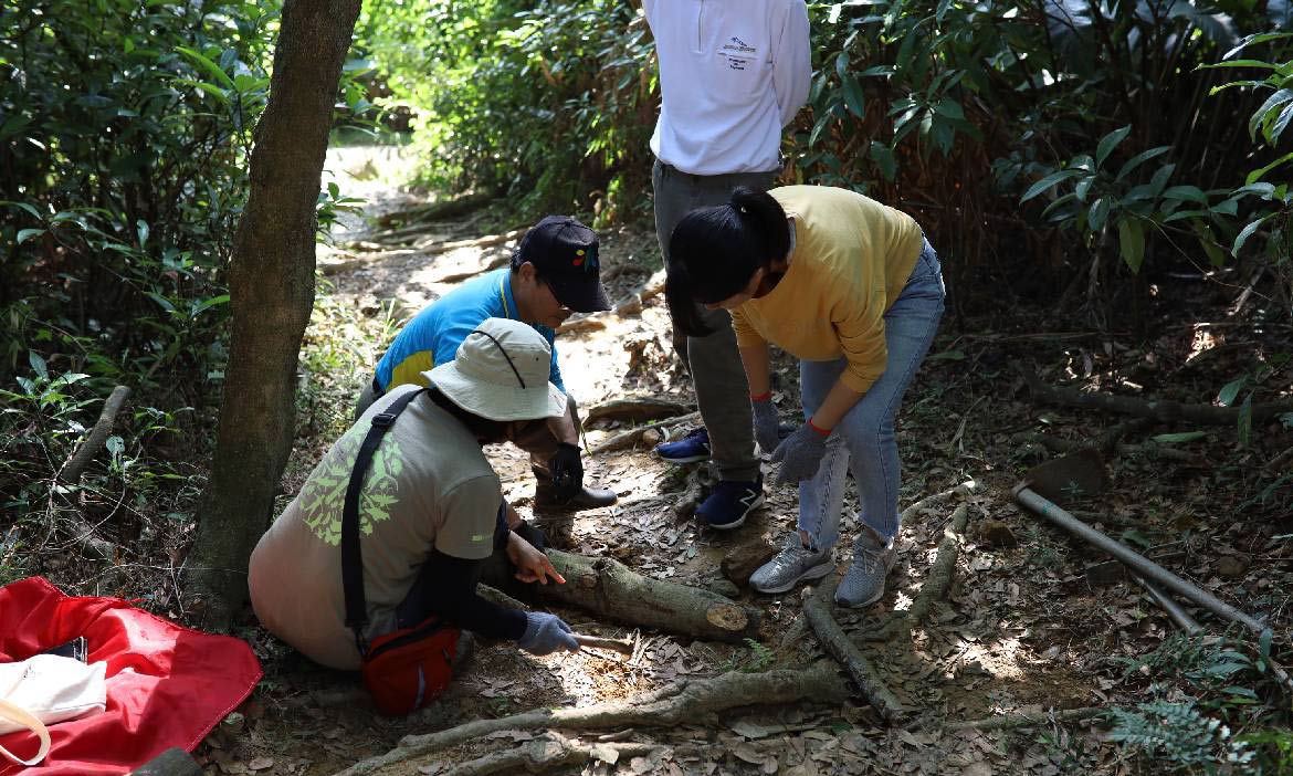 台北手作步道半日遊 在富陽自然生態公園，打造讓大地呼吸的小徑