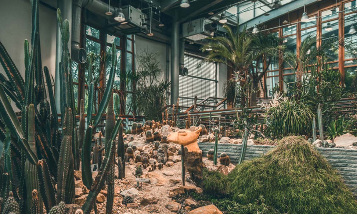 台北典藏植物園，都市水泥叢林中的綠色祕境