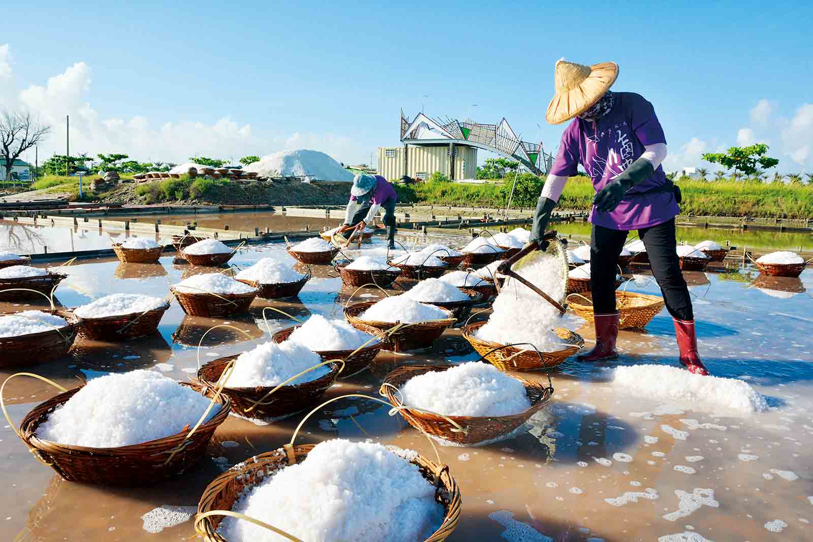 鹽不只有鹹味  還要有台灣的「風味」！