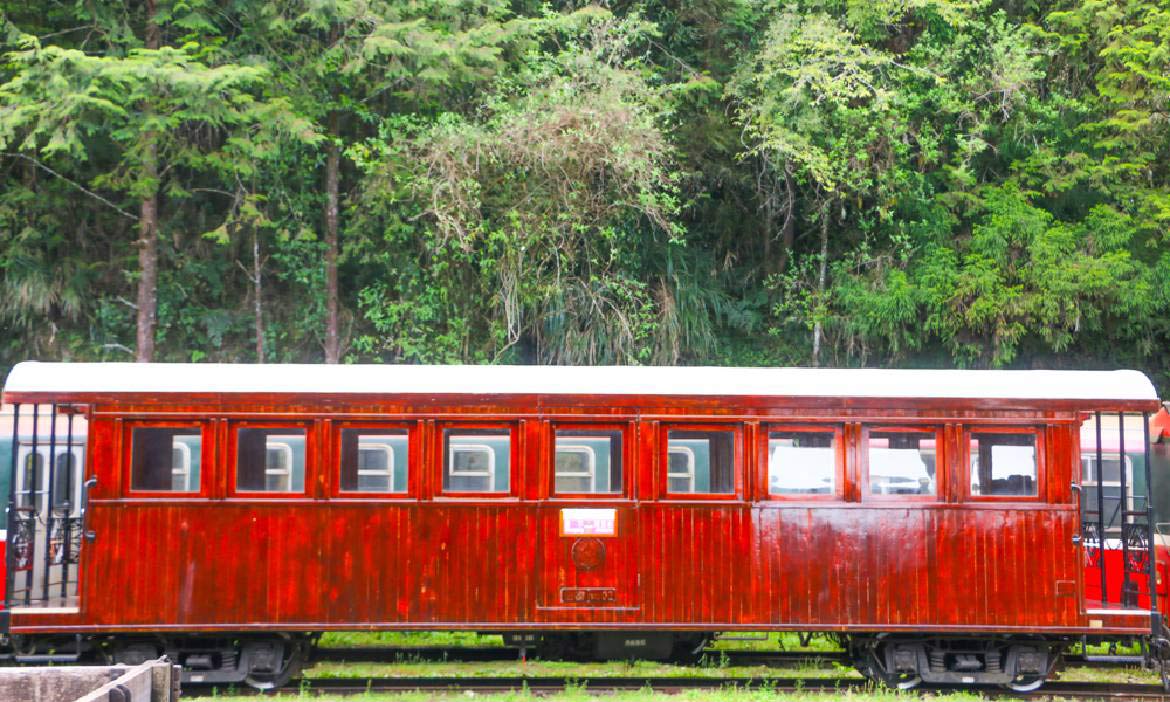 尋訪阿里山鐵路 豐富林業與鐵道文史，一窺阿里山小火車的秘密
