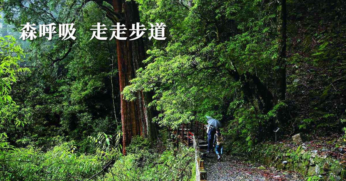 森呼吸，走走步道