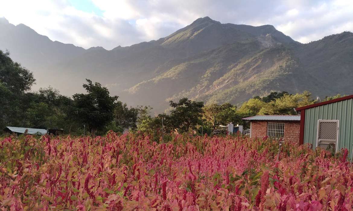 結合文化及山野生態的屏北小旅行！奧山工作室帶你體驗原鄉之美