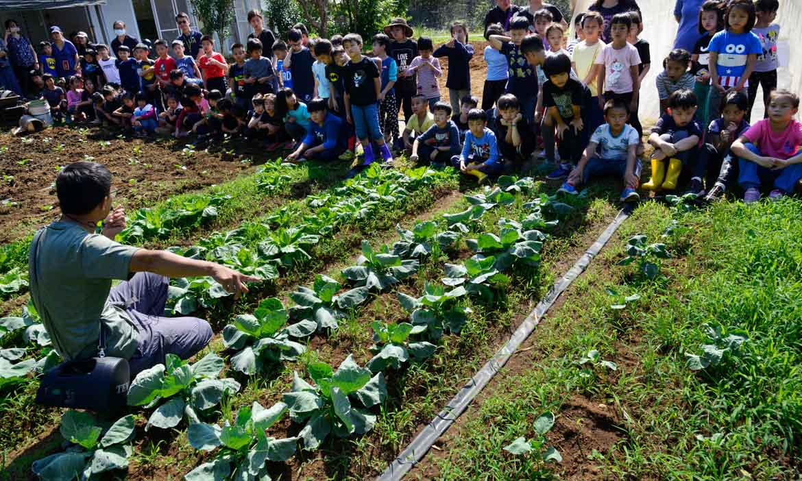 台北士林喜樂屋有機農場 土氣十足的菜園小學堂，打開孩子五感體驗