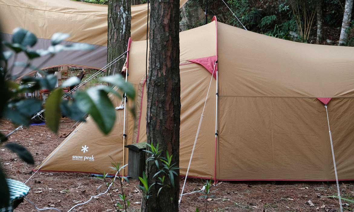 夜衝南庄包下整座山 森林系營地松濤意境，在滿地松葉中享受奢侈的靜謐