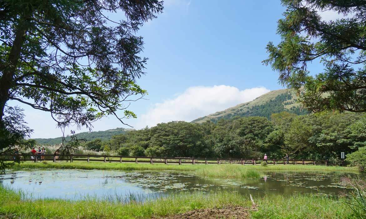 一次收藏陽明山上的夢幻景色：冷水坑生態池、牛奶湖、菁山吊橋與冷擎步道