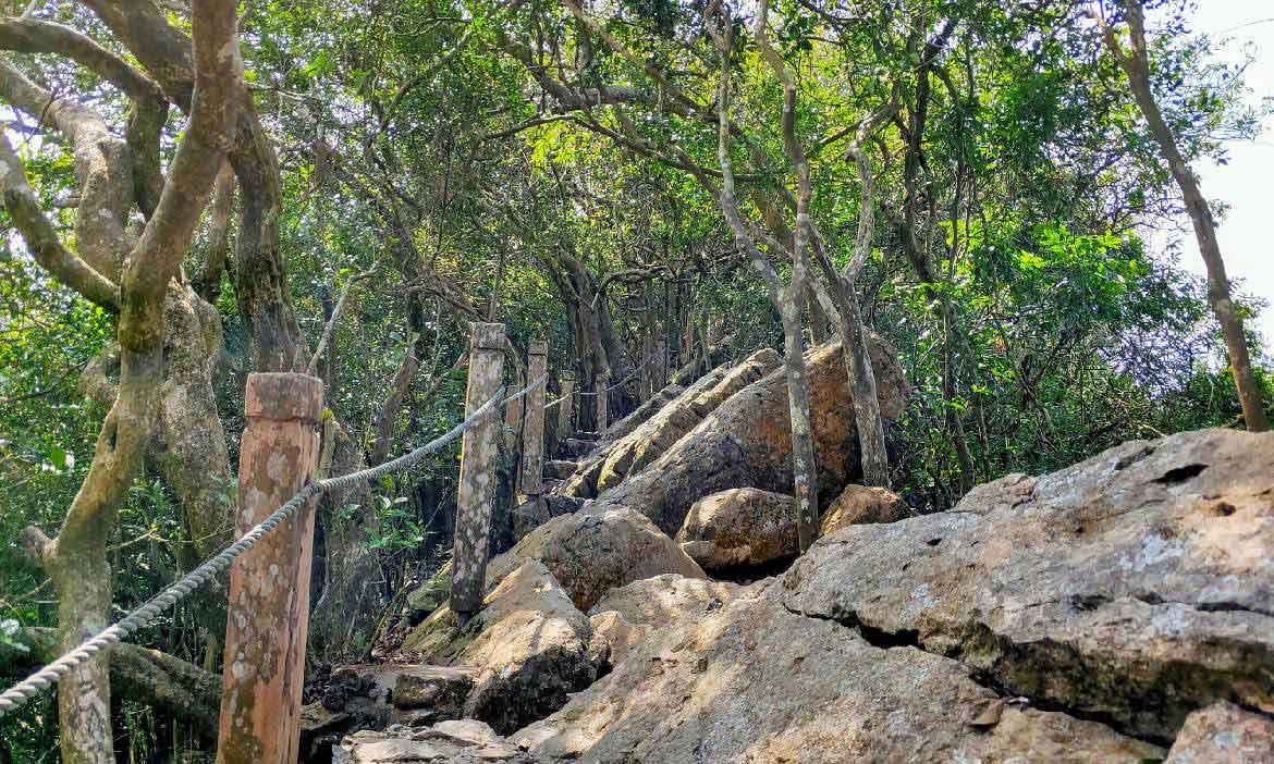 征服巨石的登山挑戰 台南龍麟山步道，腳跨兩市遠眺惡地群山