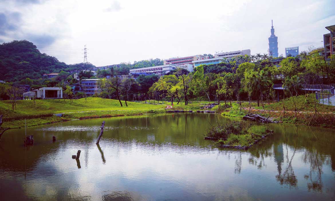 台北永春陂濕地公園 串聯四獸山步道，百年埤塘風華再現