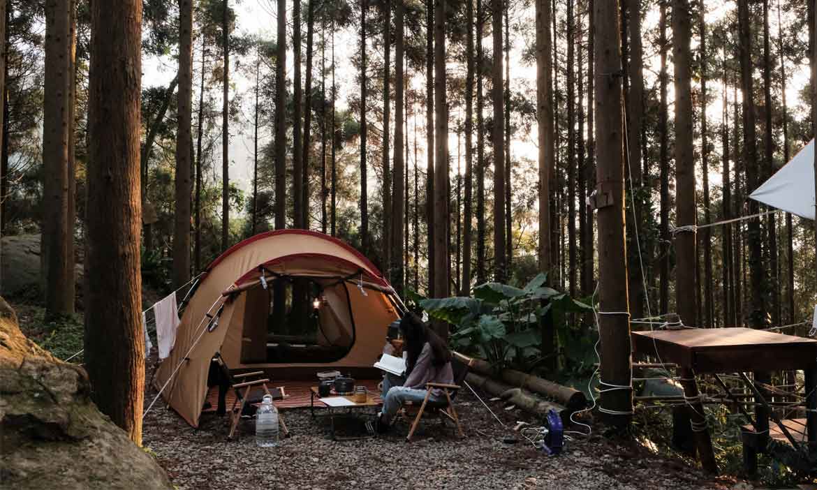 夜衝南庄杉彩 訪森林系營地，樹林裡的光影變化最迷人