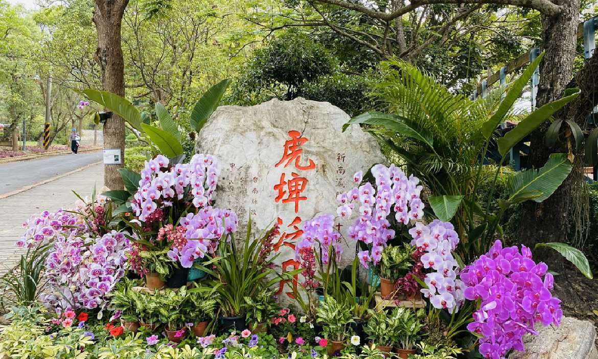 賞花順遊府城各地！2020國際蘭展遍地開花，台南賞蘭遊程大公開