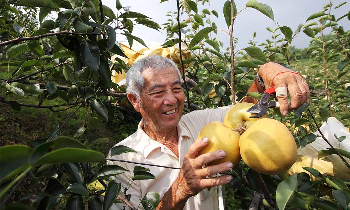 2020休閒農業區推薦必去，當一日農夫學農事，體驗充滿樂趣的農村文化