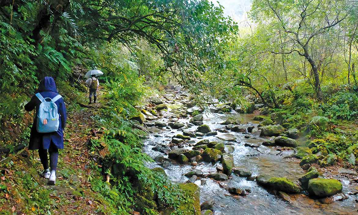 重返山林 走一段雙溪「崩山坑古道」，認識手作步道的歲月靜好