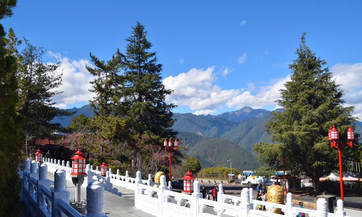 隱身後山的生態步道 串聯梨山賓館與福壽山，在芬多精秘境賞櫻