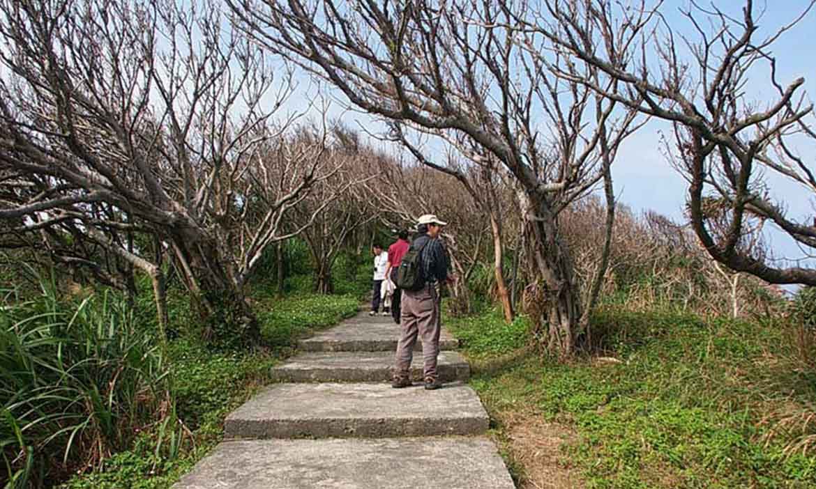 新北獅頭山公園步道｜玩遍台2線淡金公路 北海岸步道健行、金山泡湯吃辦桌