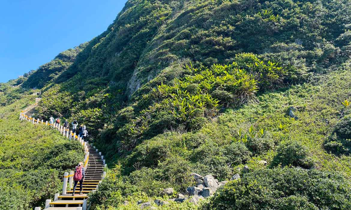 基隆嶼濱海步道｜散步賞花觀海 登山遠眺基隆、野柳海岸景觀