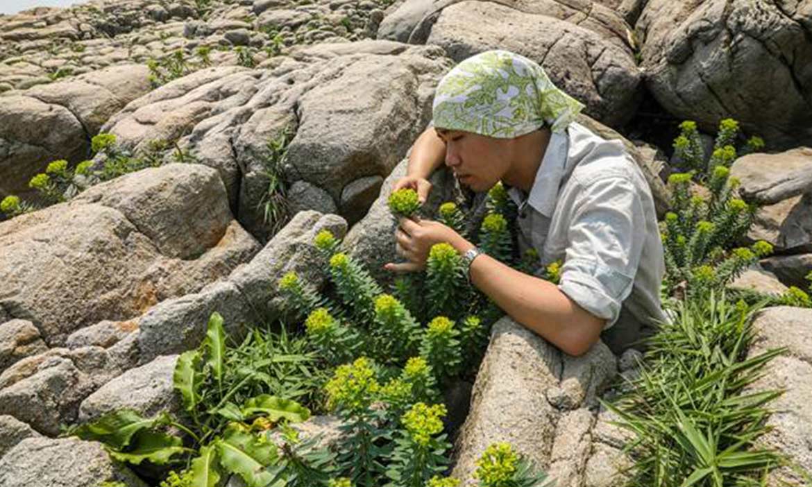 世界地球日 種子銀行、空拍影像、手作步道，愛台灣保衛山林的各種實踐