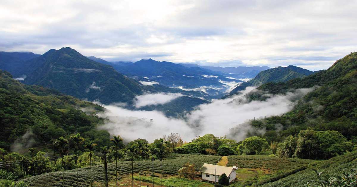 嘉義縣深度旅遊、半日遊、一日遊，體驗山色、平原與海景，精選景點推薦