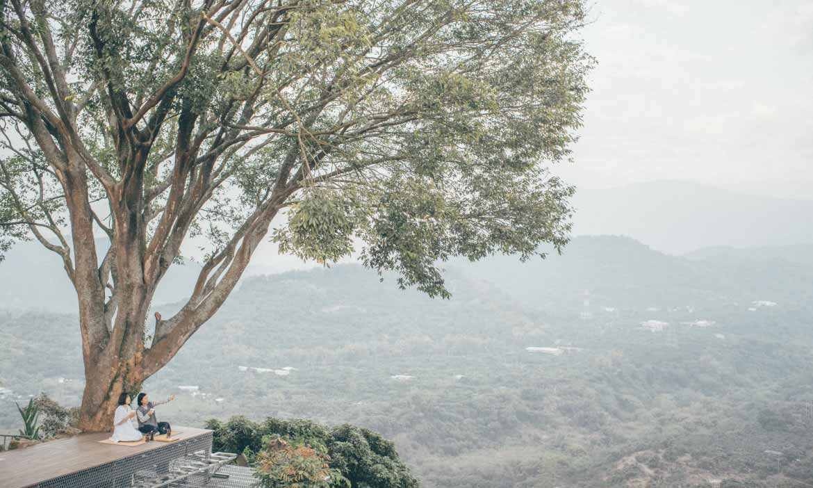 仙湖休閒農場，台南的放伴龍眼乾與土匪雞