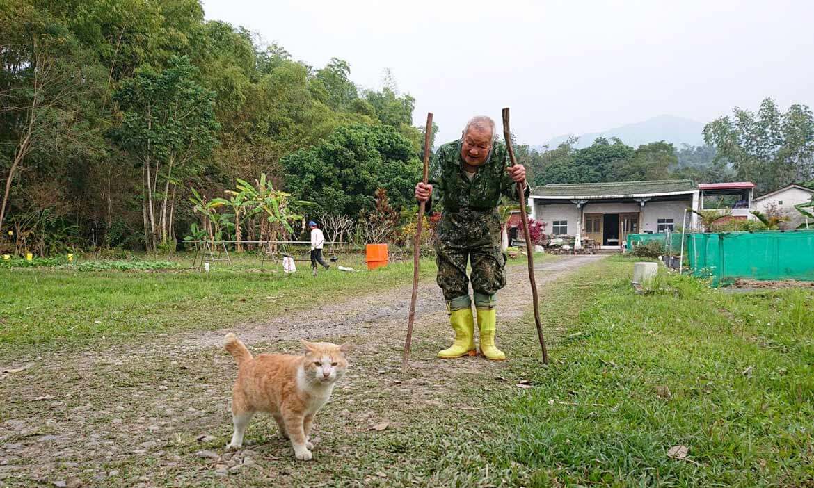 竹山老農夫家的刺竹叢，美過世界上任何一處風景，對所有草木滿懷感恩