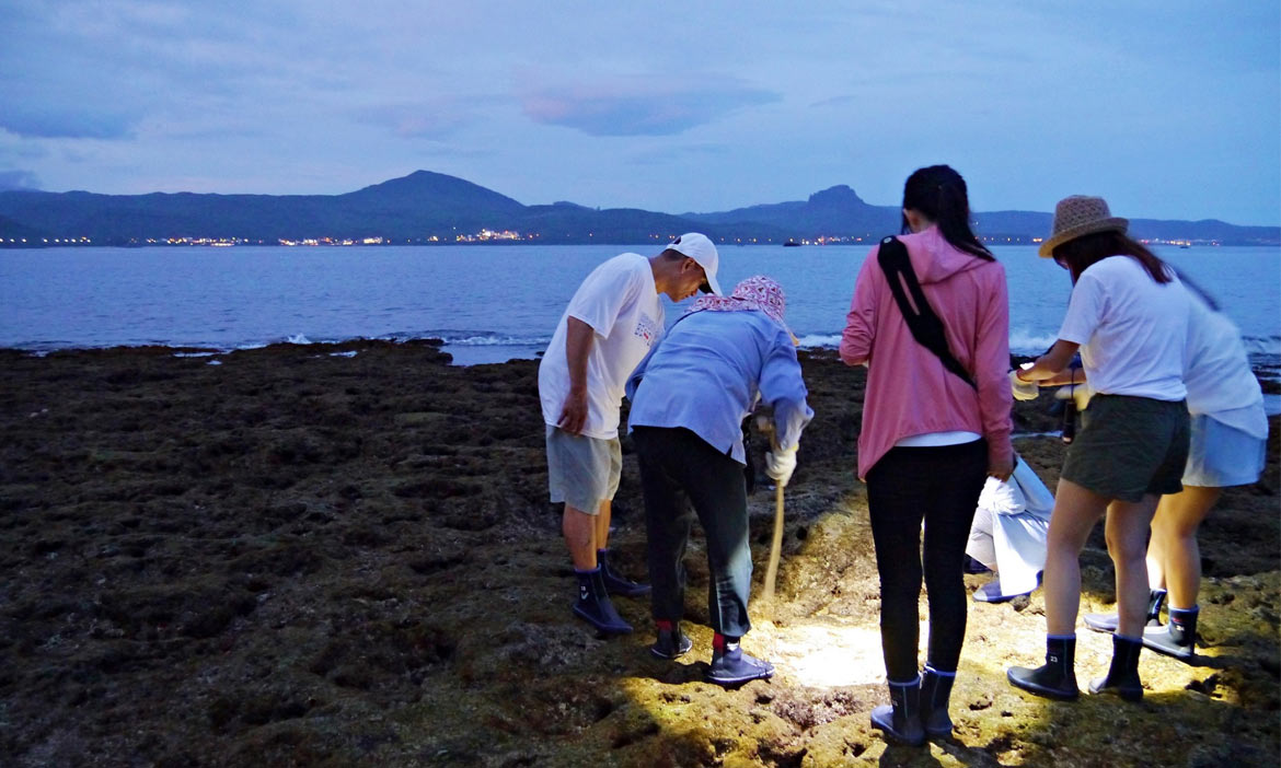 記憶中的那片海 恆春半島生態行，在後壁湖潮間帶踏浪找千奇百怪的海洋生物