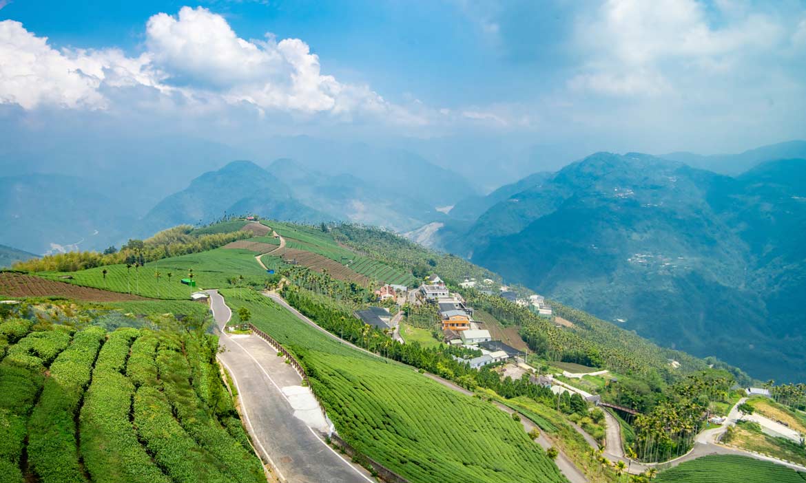 茶鄉獨旅 在166縣道找到遠離塵囂，阿里山西北廊道地區小旅行