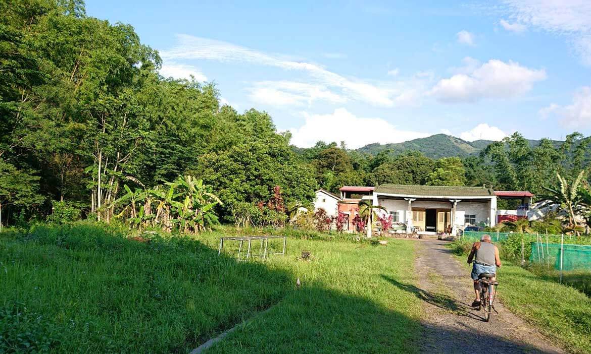 靠天吃天靠田吃田，竹山老家的田園記憶，給老農夫按個讚