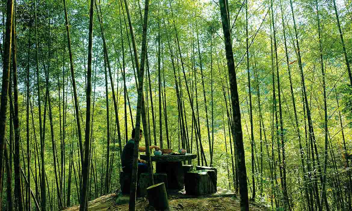 品味山、竹、茶的清香，精選南投6家自然系住宿推薦