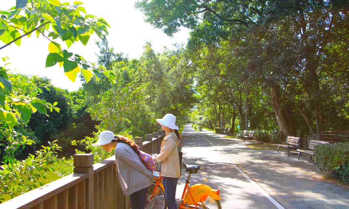 台北市天然ㄟ單車綠廊道 北投田心仔公園，在稻田旁騎車賞花