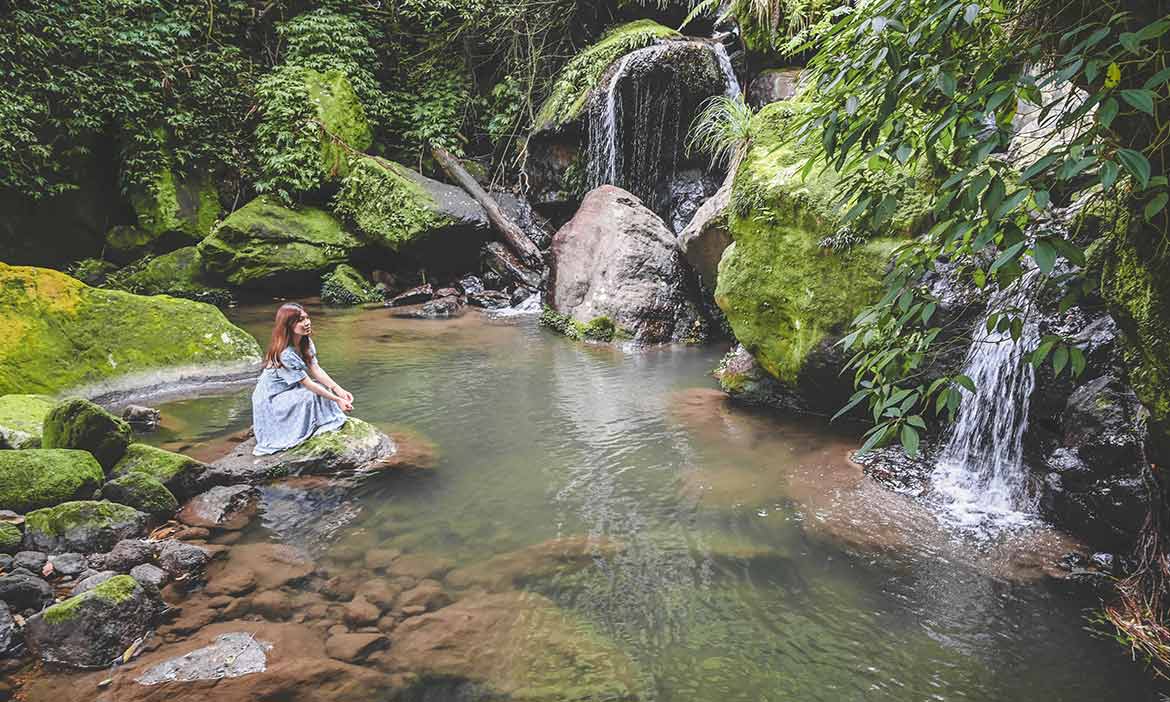 來大屯瀑布享受神清氣爽的森林浴，陽明山中遠離塵囂的瀑布秘境