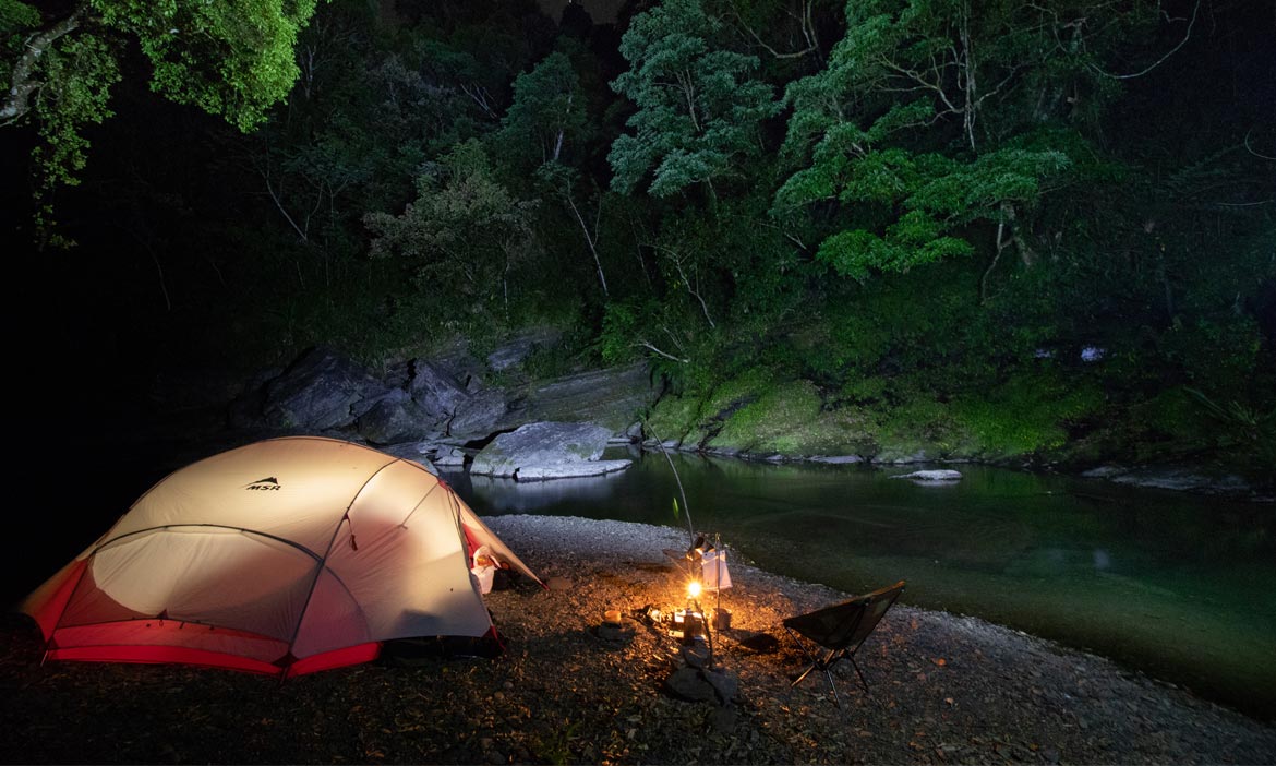 穿山甲掛保證的天然露營地 新北坪林綠野山林，山光水色好放鬆