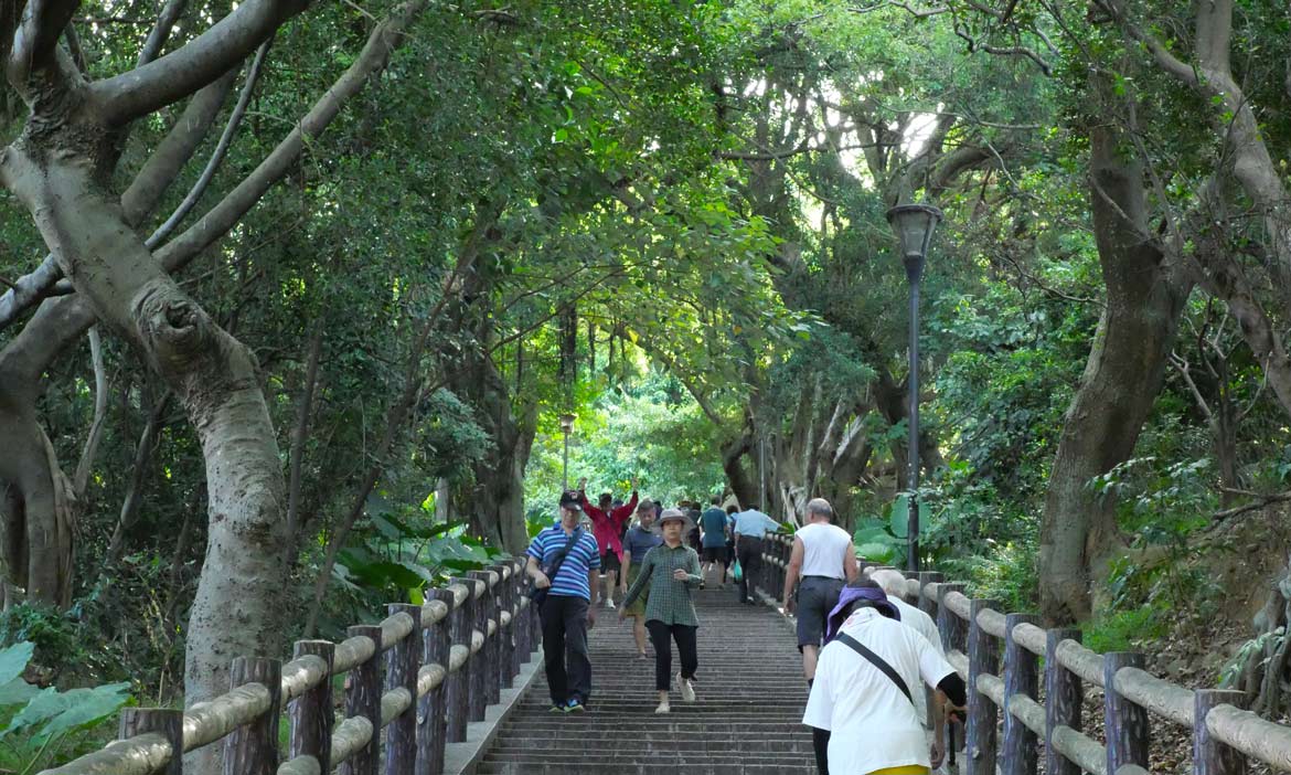桃園入門級步道 到虎頭山步道半日遊，遇見螳螂與蝴蝶的生態鏈