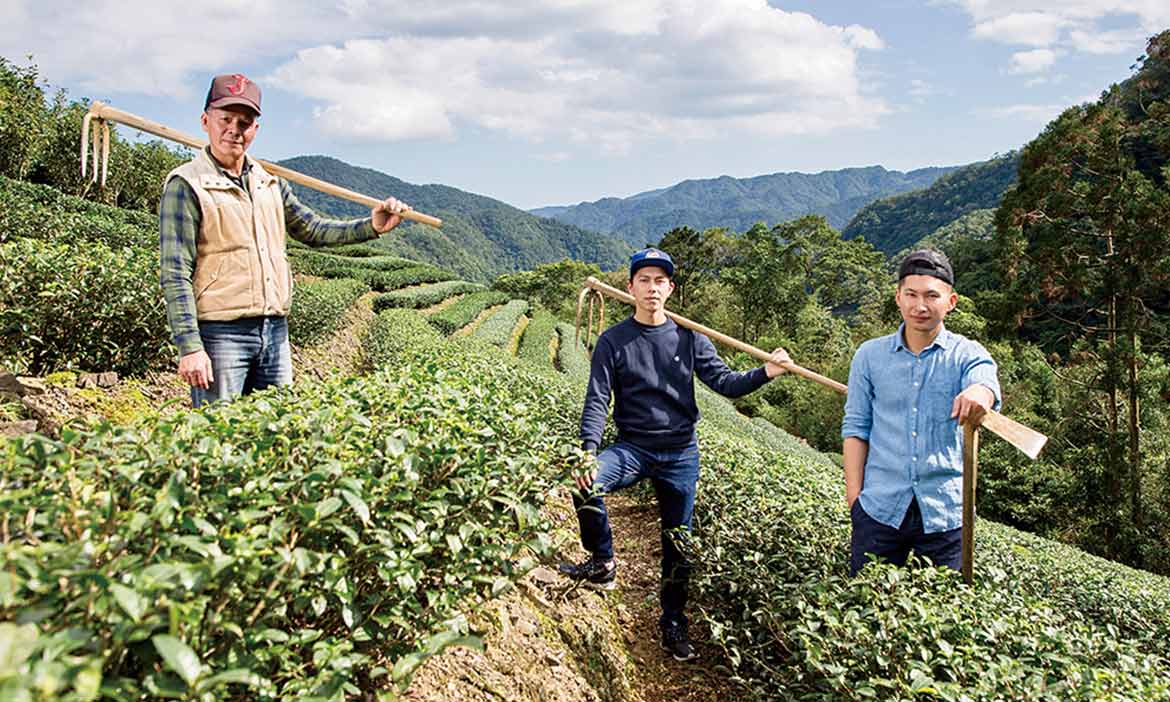 顛覆茶葉老派印象！新北坪林新「茶」世代亮相，以美學重塑包種茶文化