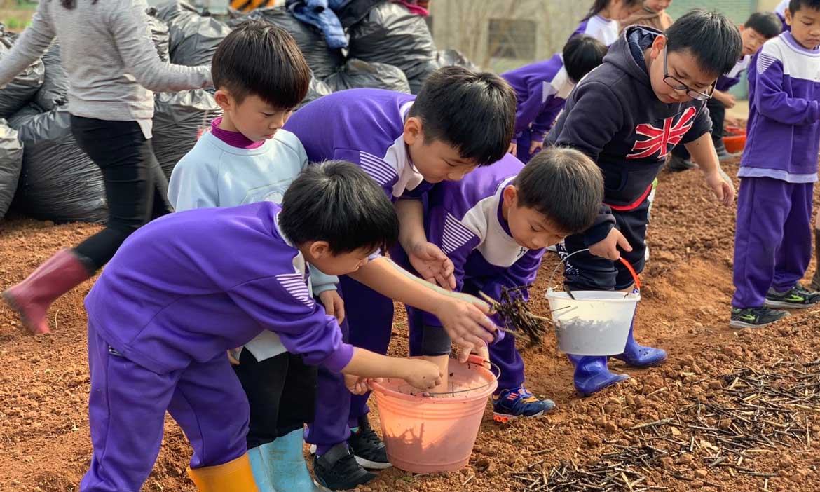 神農計劃 用一塊小學校田，翻轉台灣土地未來的命運