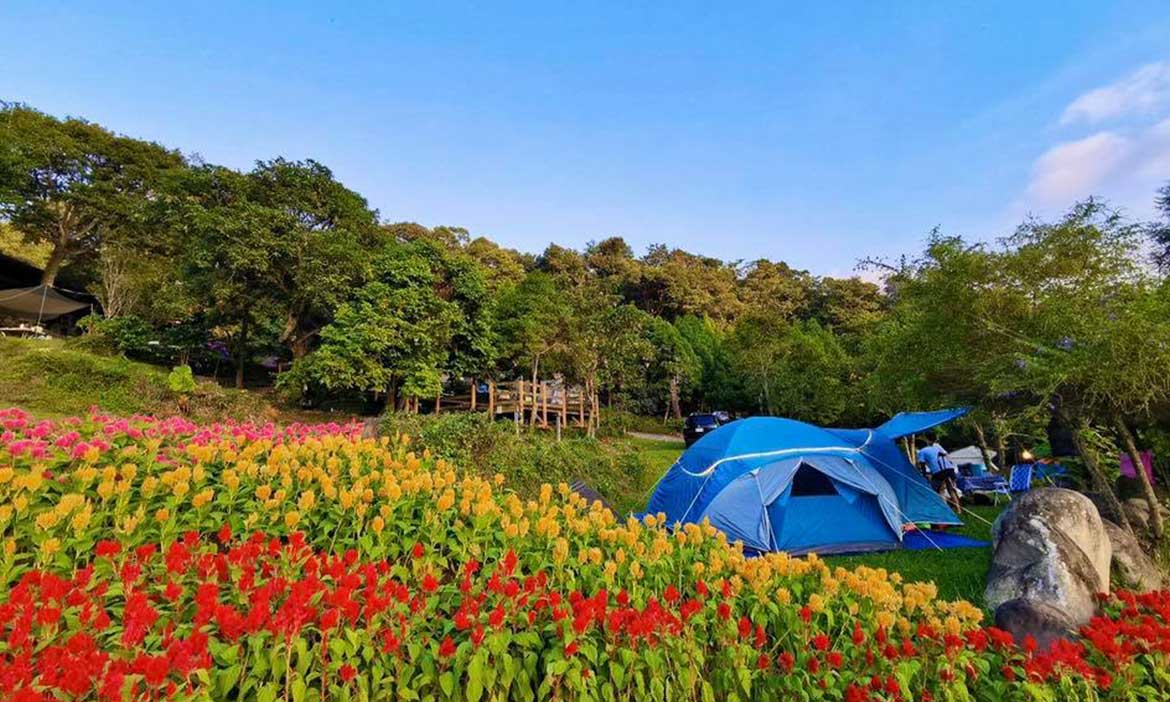 淺山上的輕裝露營 台中新社小路露營區，放鬆遊憩新手家庭都適合