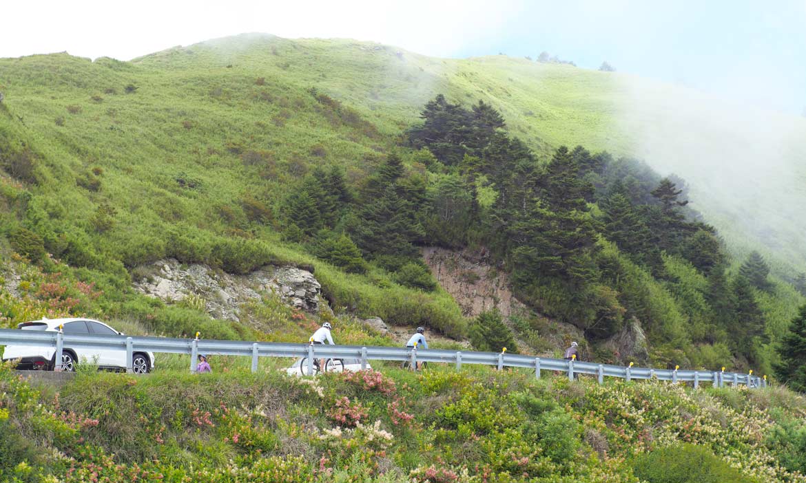 騎單車往武嶺的路上 踏雲踩霧，被眼前的高山美景征服！