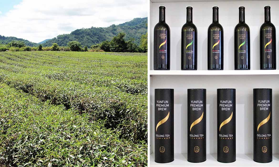 用高腳杯喝茶？「允芳茶園」職人純釀，像酒一般的鹿野精釀茶