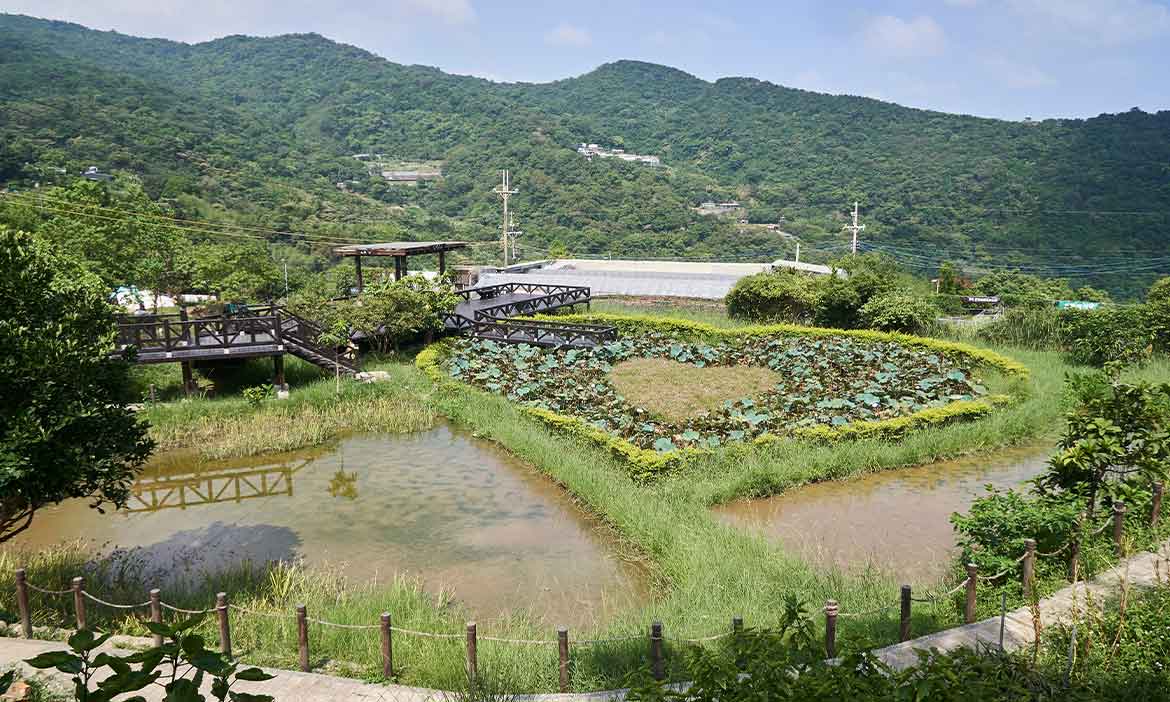 白石湖找農趣 貓空喝好茶