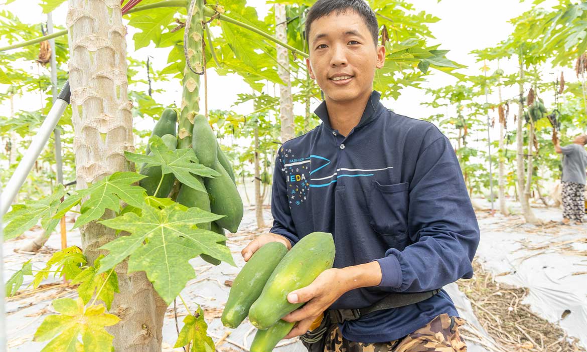 青年轉換跑道 累積實力 立足農業新舞台