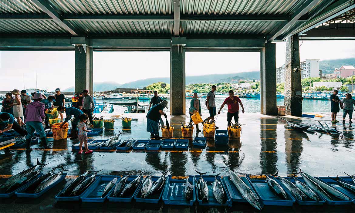 台東成功海鮮天堂：旗遇海味、有間小店、大慶柴魚、丸昌漁行，尋海味從這裡開始