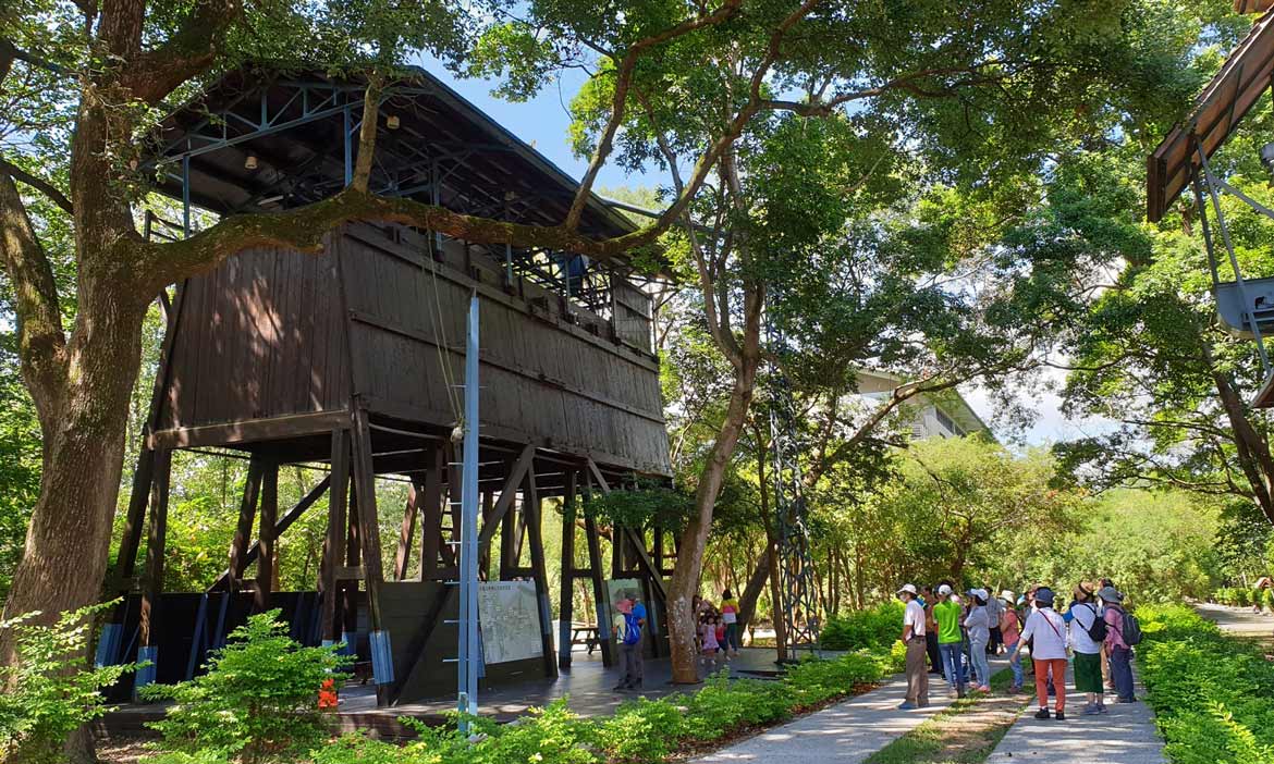 台中嘉義踏青森呼吸 東勢林業文化園區體驗綠色樂活行，賞阿里山冬夜滿天星空