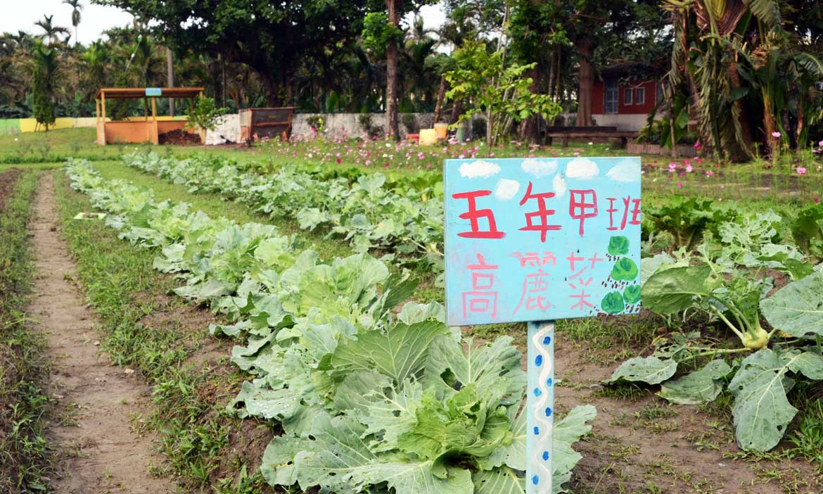 校田就是我們的課本 屏東潮南國小發展理念學校課程，從土地獲得意想不到的收穫