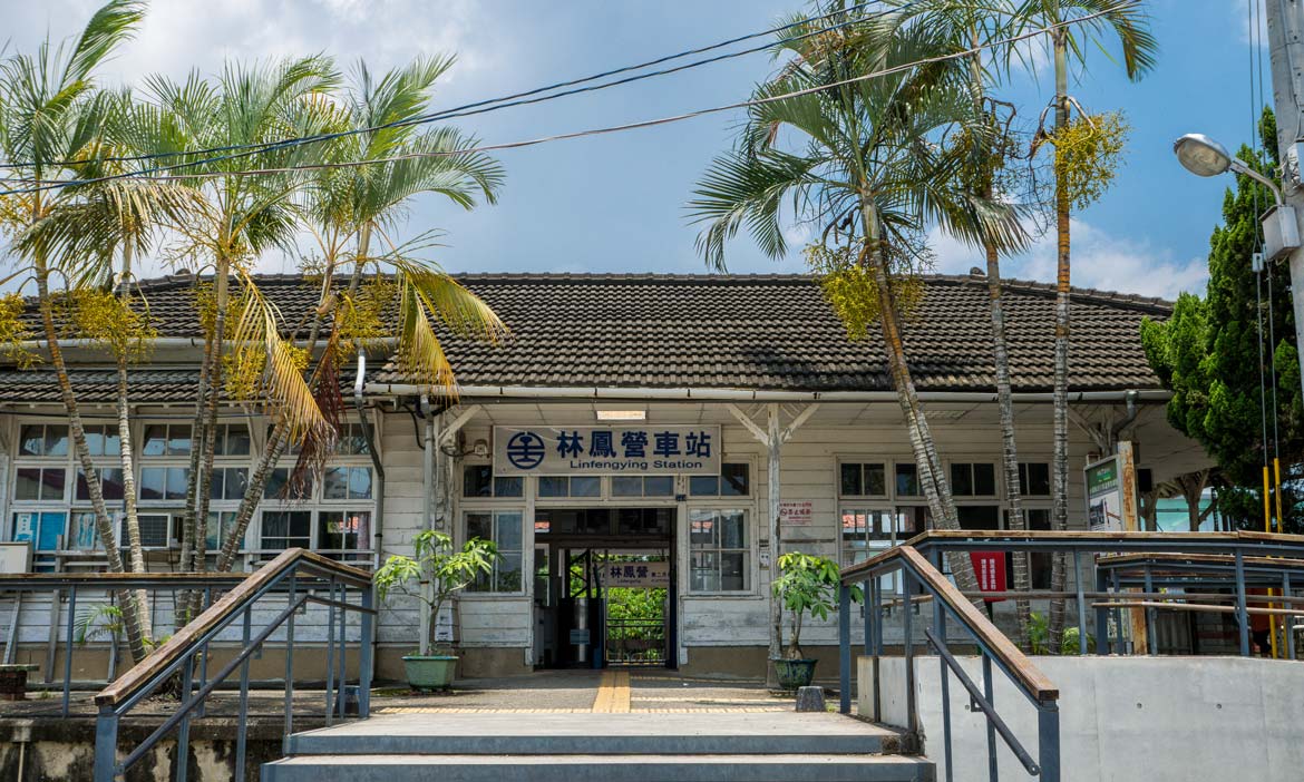 台南林鳳營的春夏秋冬 探訪車站旁樹屋與莫內花園，等待落羽松秘境秋紅轉黃