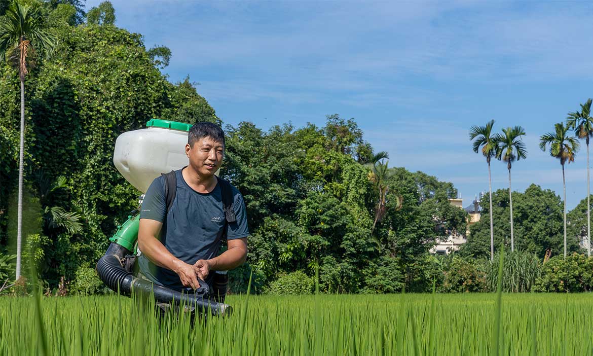 養蜂、種稻、製茶 站上實作第一線 將農業當成志業
