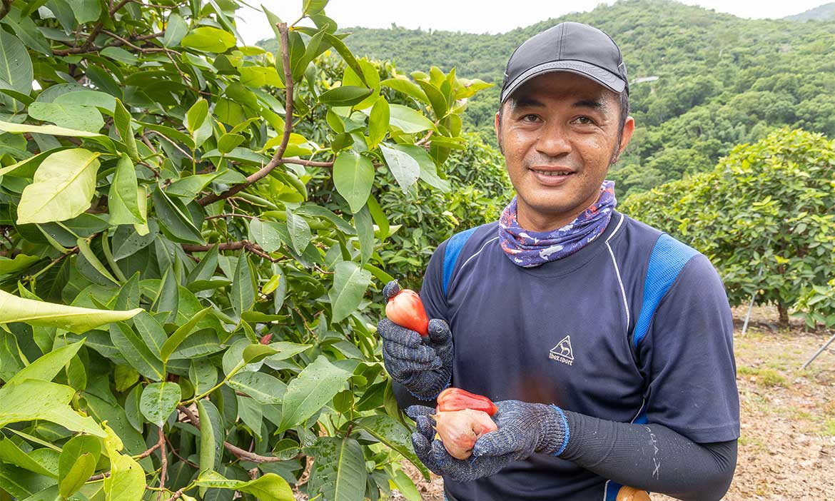 重返田間 農二代築夢踏實  找回人與土地親密連結