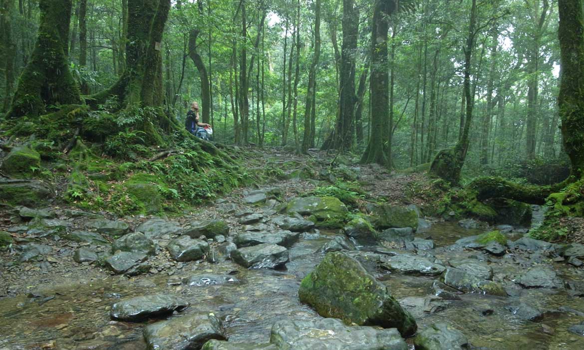 6條桃園必訪步道 小百岳經典款、保留區挑戰款，還可以來場平易近人森林浴
