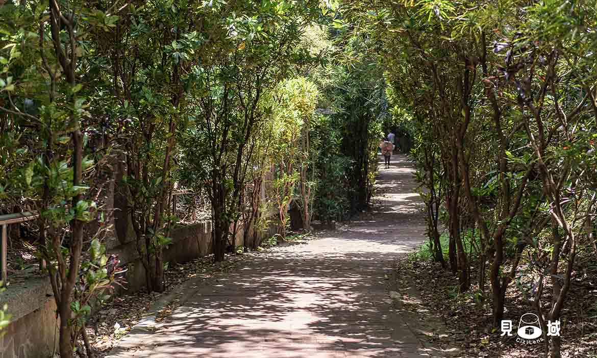 城市裡的綠意 走一圈新竹市小百岳十八尖山，人情樂聲與自然鳥鳴一路相伴