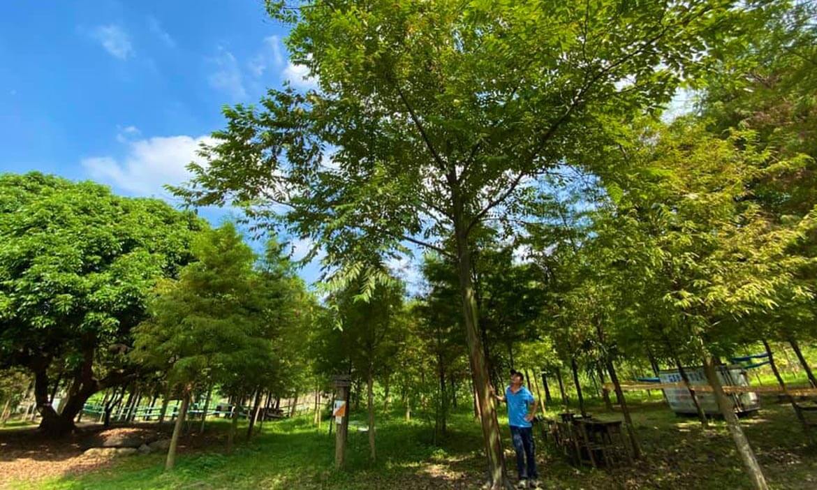 嘉義中埔的生態探索樂園 築夢森居，感受在山野裡的怡然自得